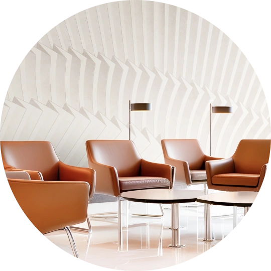 VIP Lounges and Business Class Areas